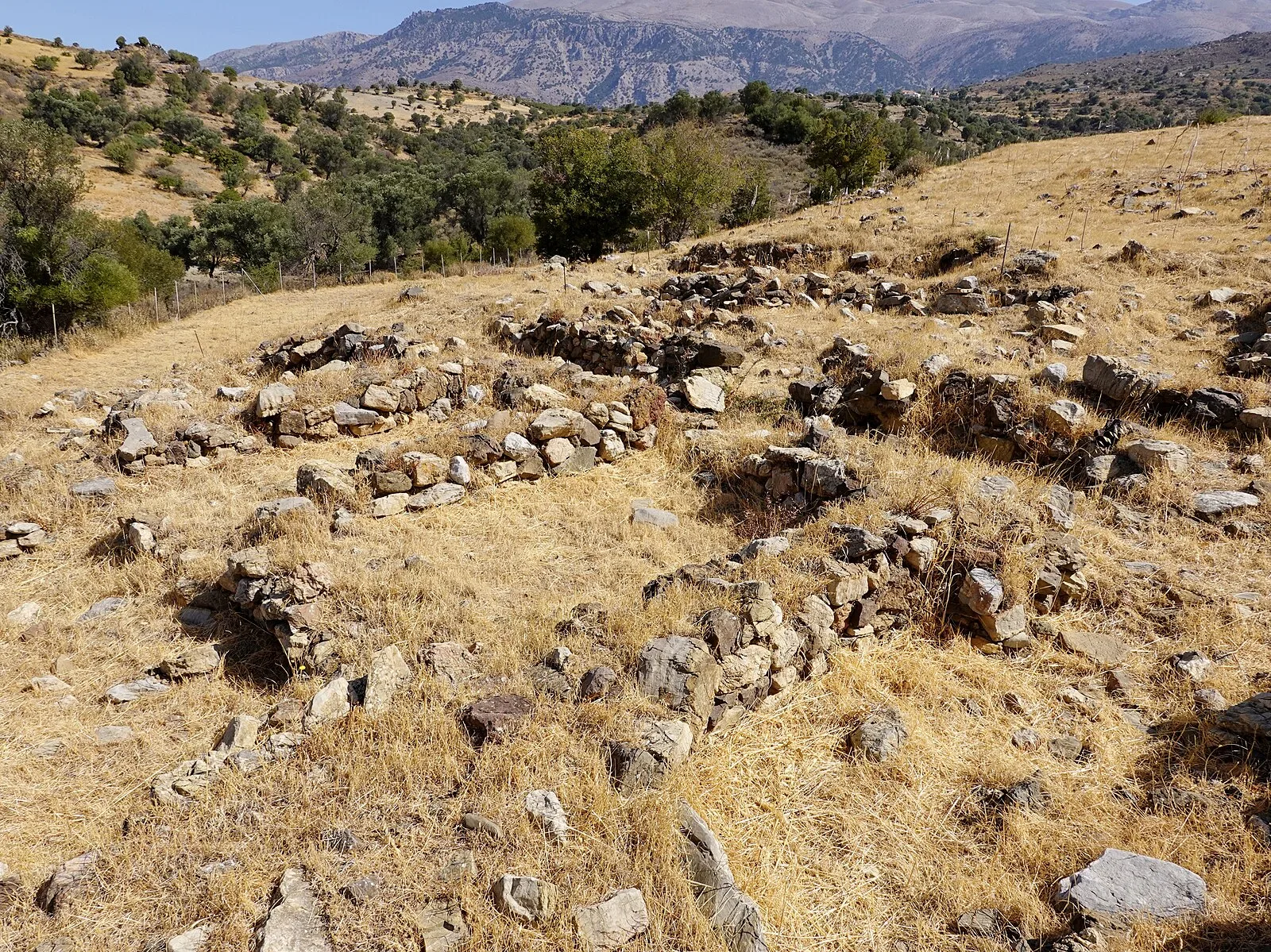 Apodoulou